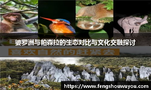 婆罗洲与帕森拉的生态对比与文化交融探讨